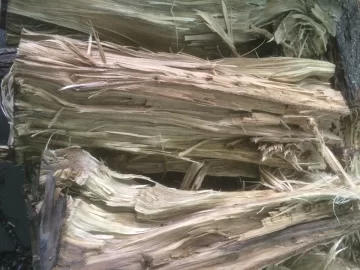 [Hearth.com] Wood Id please