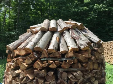 [Hearth.com] My First Holz Hausen