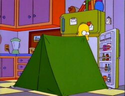 2521255-fridge-tent-homer.jpg