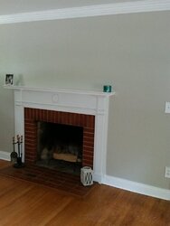 Fireplace insert option ?