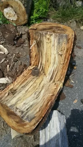 [Hearth.com] Wood ID