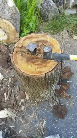 [Hearth.com] Wood ID