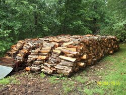 Stacks finished and Holz hausen beginning