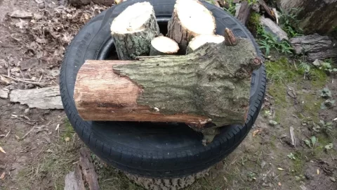 Best way to split Ash & a Wood ID