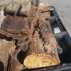 Burning Bark and Punky Wood