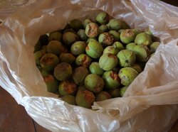 How to eat hickory nuts?