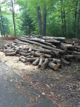 [Hearth.com] grapple load delivery - how much work do I have ahead of me?