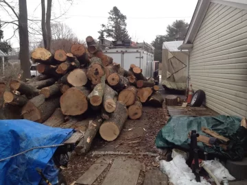 [Hearth.com] I Know I Am A Wood Burner When...