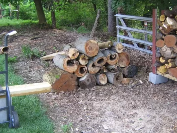 [Hearth.com] Beech Question