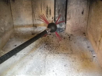 [Hearth.com] The Pine, the Whole Pine, and Nothing but the Pine