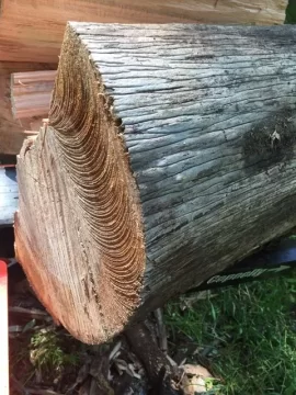 [Hearth.com] Wood ID - it has Birdseye , so maple?