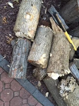 [Hearth.com] Is this wood ok to burn?