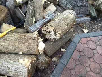 [Hearth.com] Is this wood ok to burn?