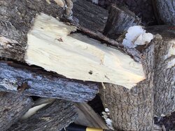 Is this wood ok to burn?