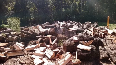 [Hearth.com] Getting woodpile ready for first year with OWB