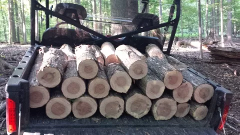 [Hearth.com] Today's Scrounge / Wood ID?