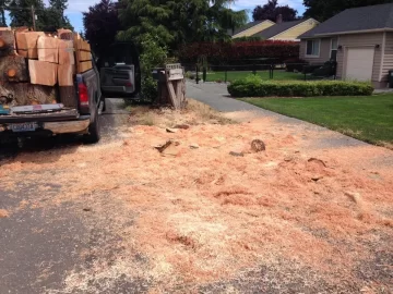 [Hearth.com] What is the largest diameter of split I can make?