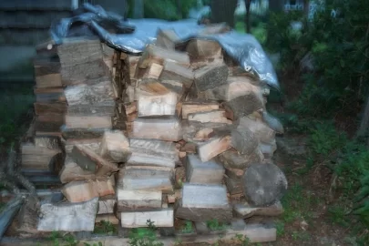 [Hearth.com] Gal's Gotta Do What A Gal's Gotta Do ...... (Pic Heavy)....
