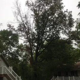 [Hearth.com] What should I do with this white oak?