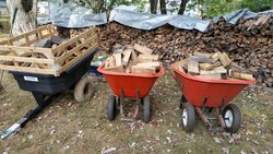 Best Cart To Move Cut Wood Around