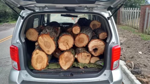 [Hearth.com] I Know I Am A Wood Burner When...