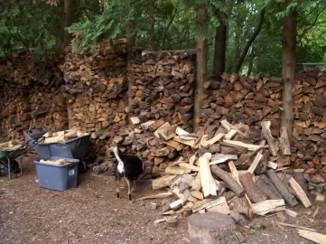 [Hearth.com] Tarps