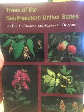 [Hearth.com] Guess this tree