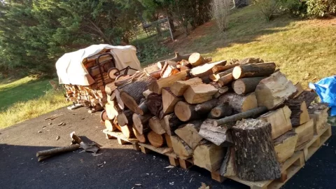[Hearth.com] Wood Destroying Insect migration risk?