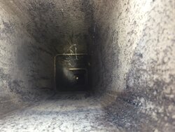 1 month chimney inspection