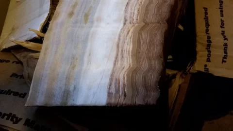 [Hearth.com] Tree id?
