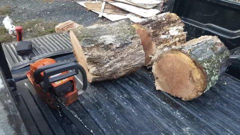 [Hearth.com] Ideal size to split wood?