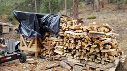 Building a woodshed