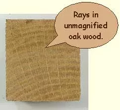 [Hearth.com] Huge hardwood score off Craigslist.