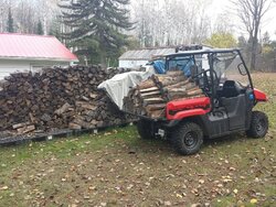 Best Cart To Move Cut Wood Around