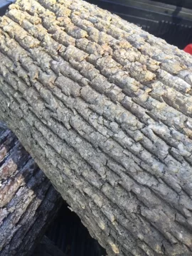 [Hearth.com] Wood ID