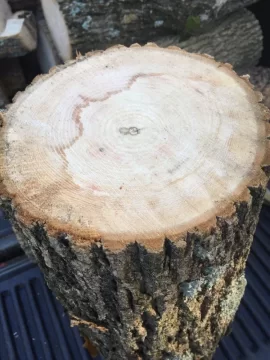 [Hearth.com] Wood ID