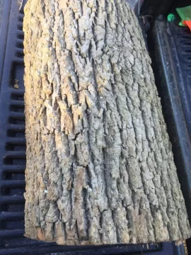 [Hearth.com] Wood ID