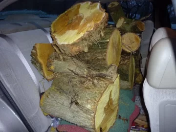 [Hearth.com] Free wood