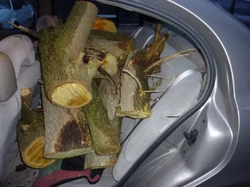 [Hearth.com] Free wood
