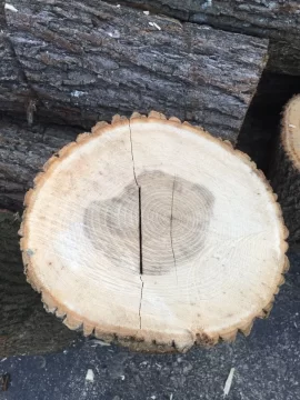 [Hearth.com] Wood ID