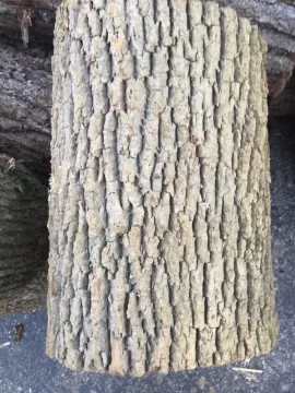 [Hearth.com] Wood ID