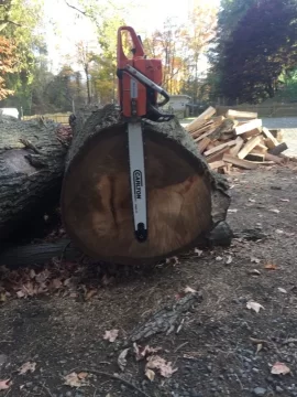 [Hearth.com] Felt ambitious after work today. Put the 30" bar on my 372xp.