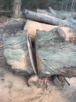 [Hearth.com] Felt ambitious after work today. Put the 30" bar on my 372xp.