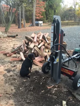 [Hearth.com] Felt ambitious after work today. Put the 30" bar on my 372xp.