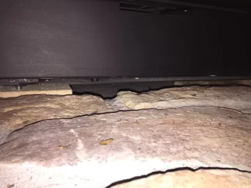 [Hearth.com] Cat temp never gets very high
