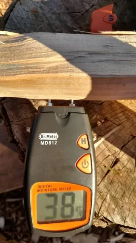 [Hearth.com] Moisture meter day 1 + super green spruce