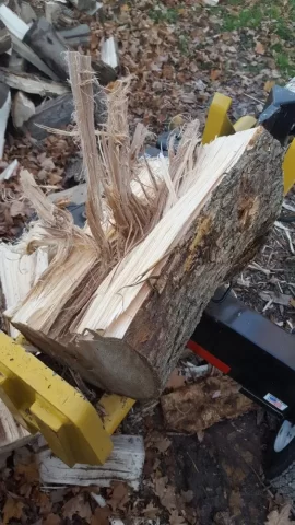 [Hearth.com] Stringy wood ID