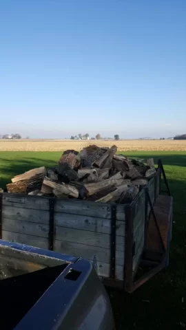 [Hearth.com] Alittle mulberry today