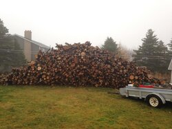 You might be a firewood junkie...