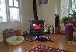 cat-stove.jpg